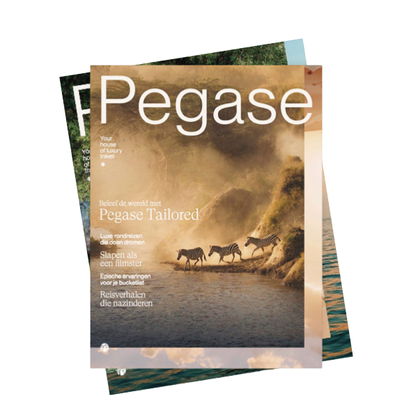 visual-brochures-pegase-bib-december-2025